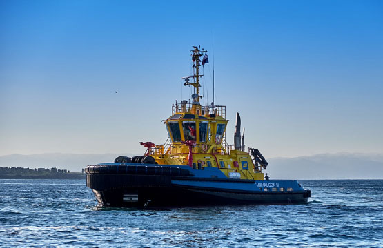 Generadores motores marinos
